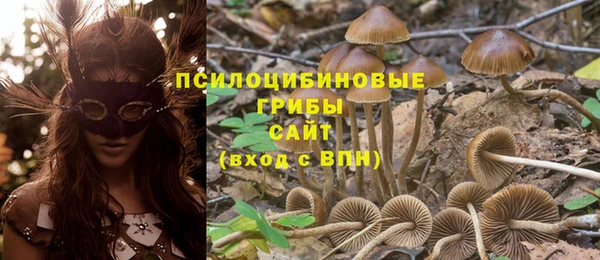 кристаллы Заволжск