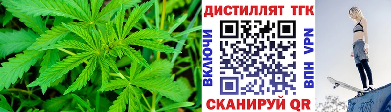 Купить где  Берёзовка  Дистиллят ТГК концентрат 