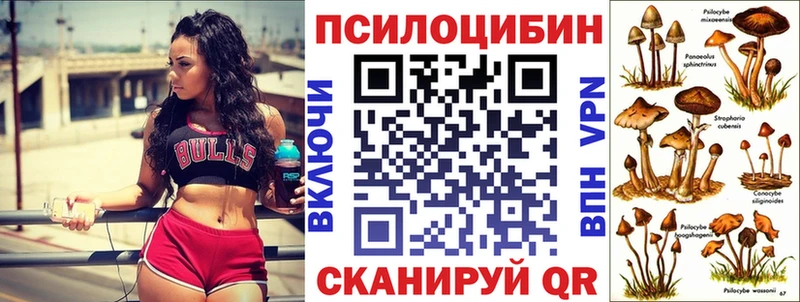 Псилоцибиновые грибы Psilocybine cubensis  Купить где  Берёзовка 